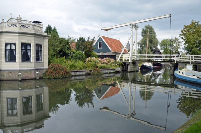 edam4.jpg
