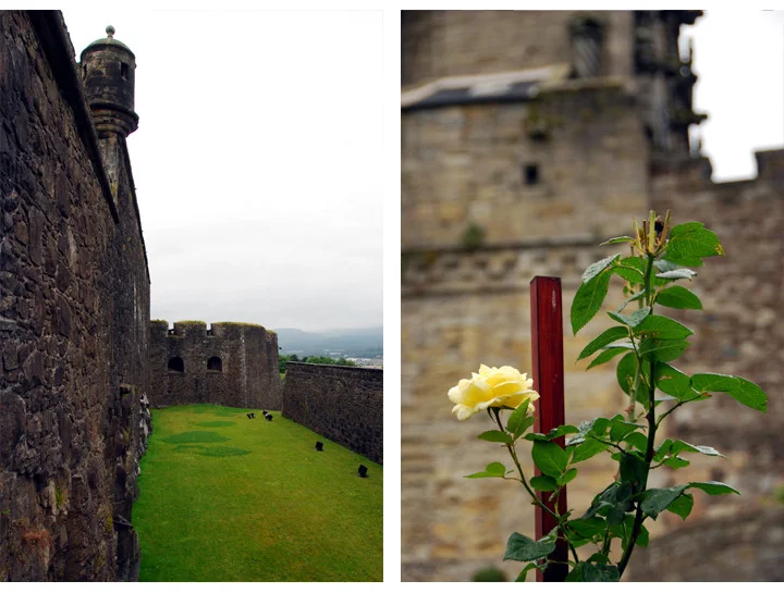 castle1b.jpg