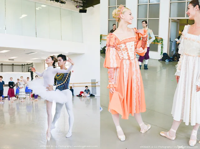 BostonBallet_SwanLake_©HOGGER&Co._2014_024.jpg