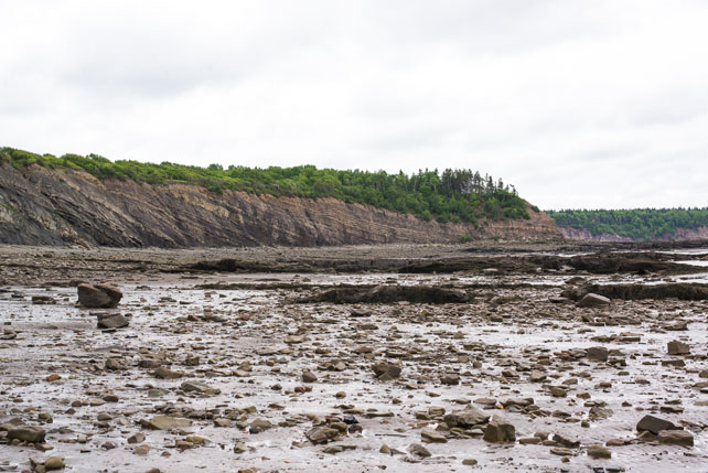 Nova_Scotia_©Hogger&Co._blog_066.jpg