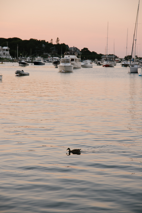 MarthasVineyard_Summercamp_Blog_035.jpg