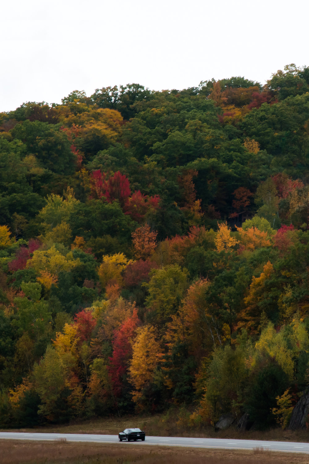 NH_FallColors_Hoggerandco_2016_030c.jpg