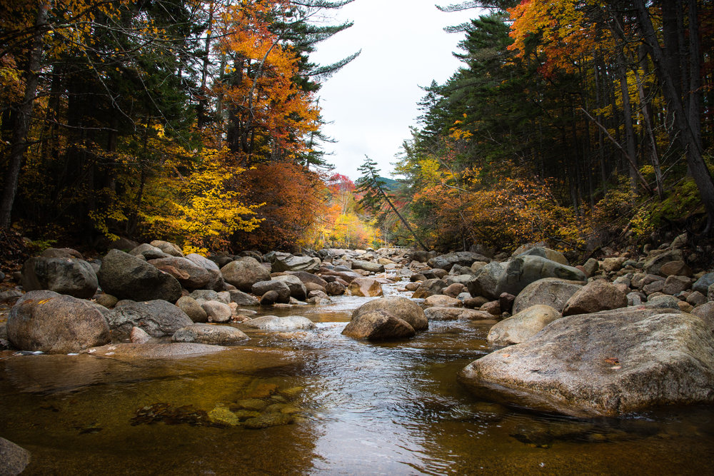 NH_FallColors_all_2016_115.jpg