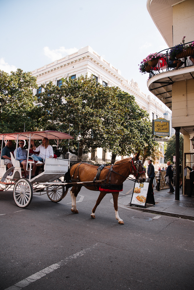 NewOrleans_2018_©Hogger&Co_blog_076.jpg