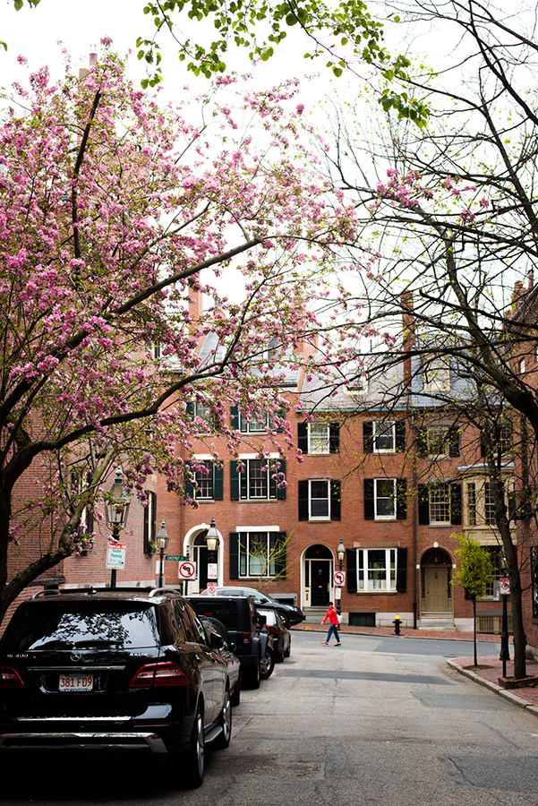 Boston_blossoms_April252016_027_blog.jpg