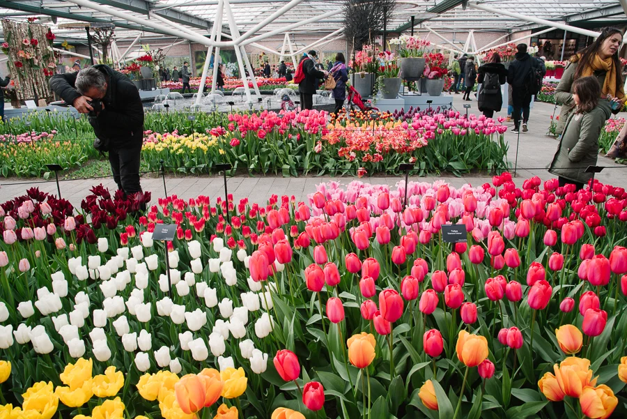 Amsterdam_blog_©Hoggerandco_004.jpg