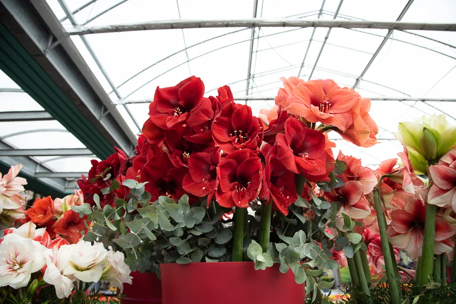 Amsterdam_blog_©Hoggerandco_016.jpg