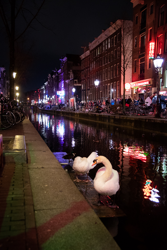 Amsterdam_blog_©Hoggerandco_041.jpg