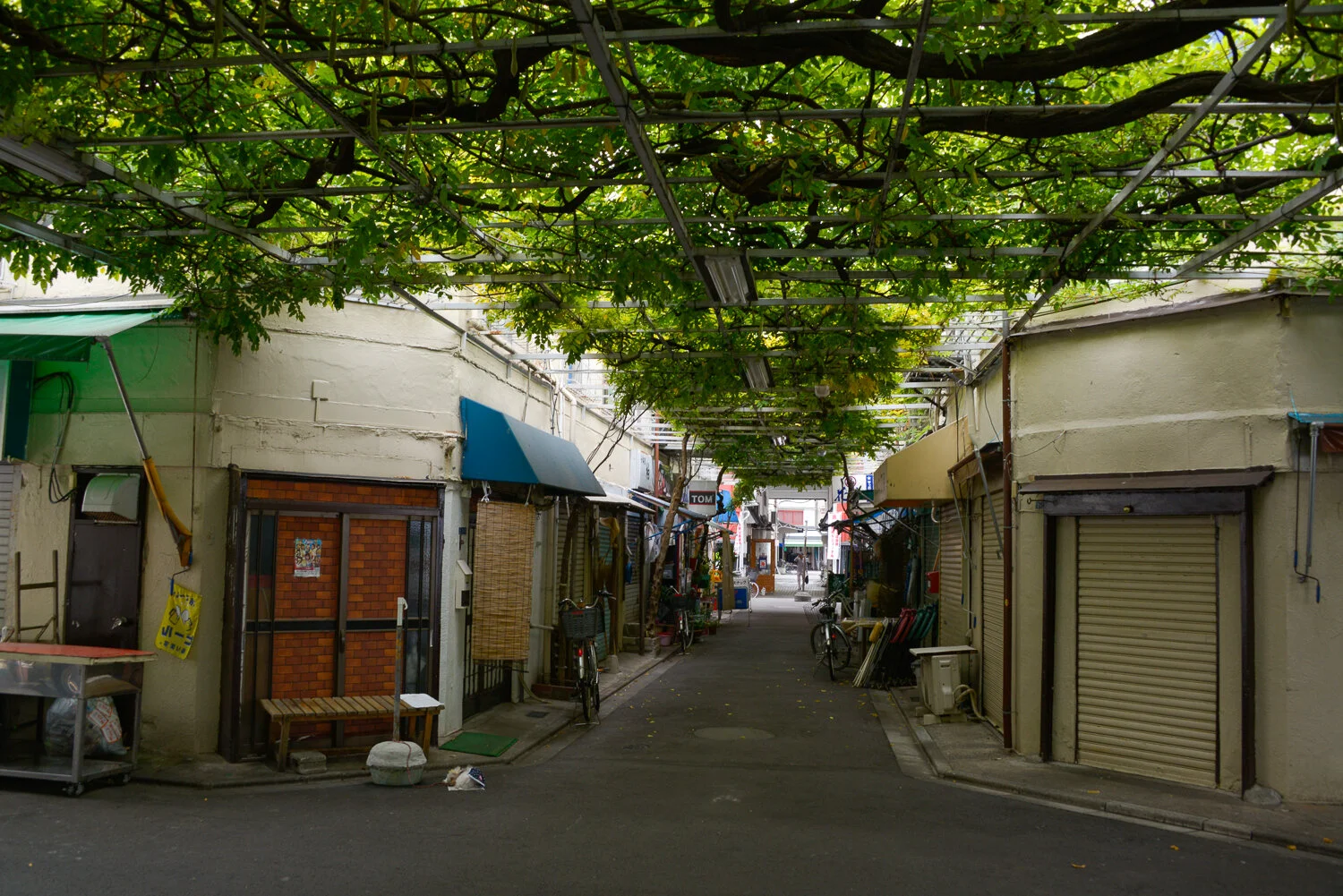 Japan_2014_©SmitaJacob_blog_045.jpg