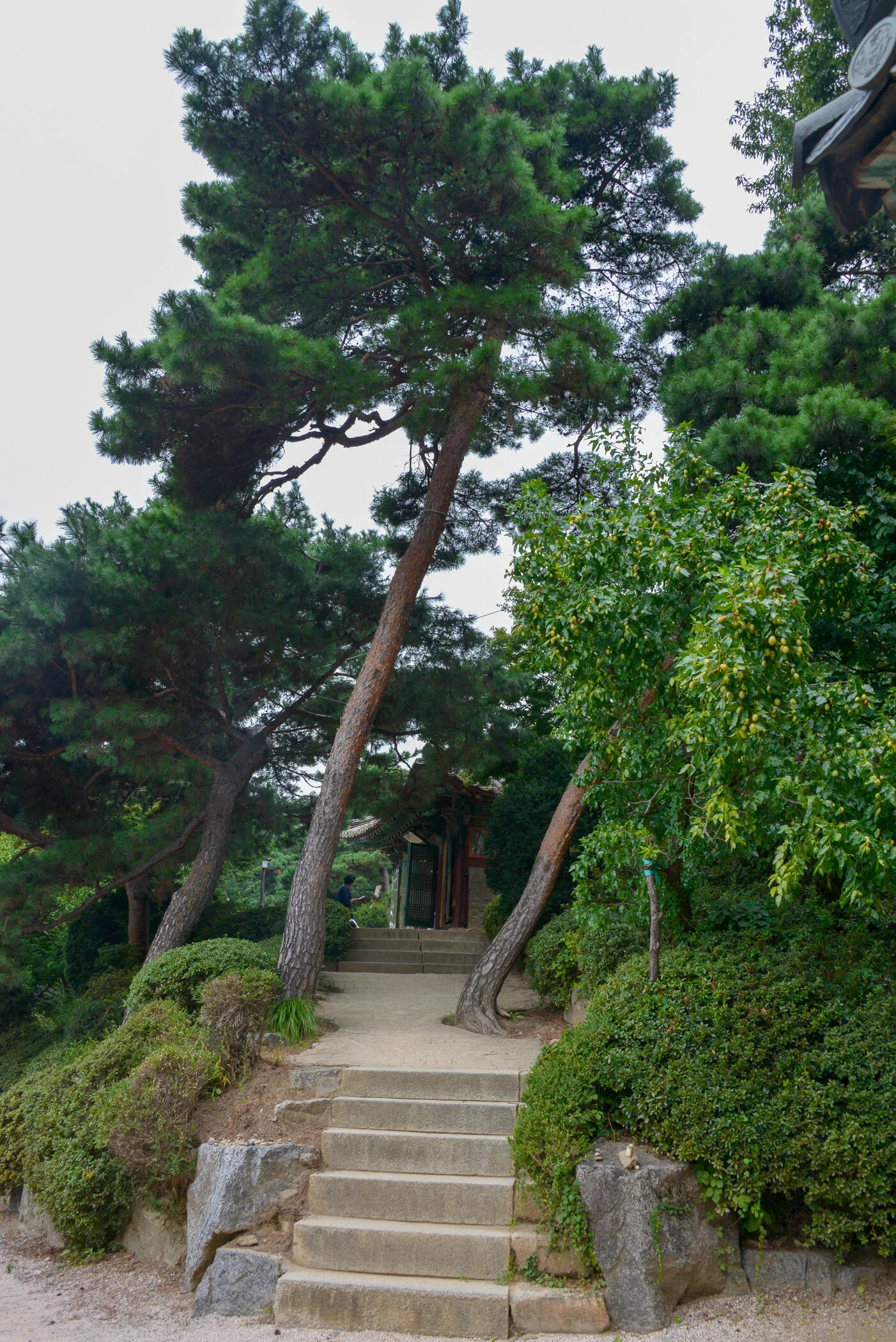 Seoul_2014_©SmitaJacob_blog_009.jpg
