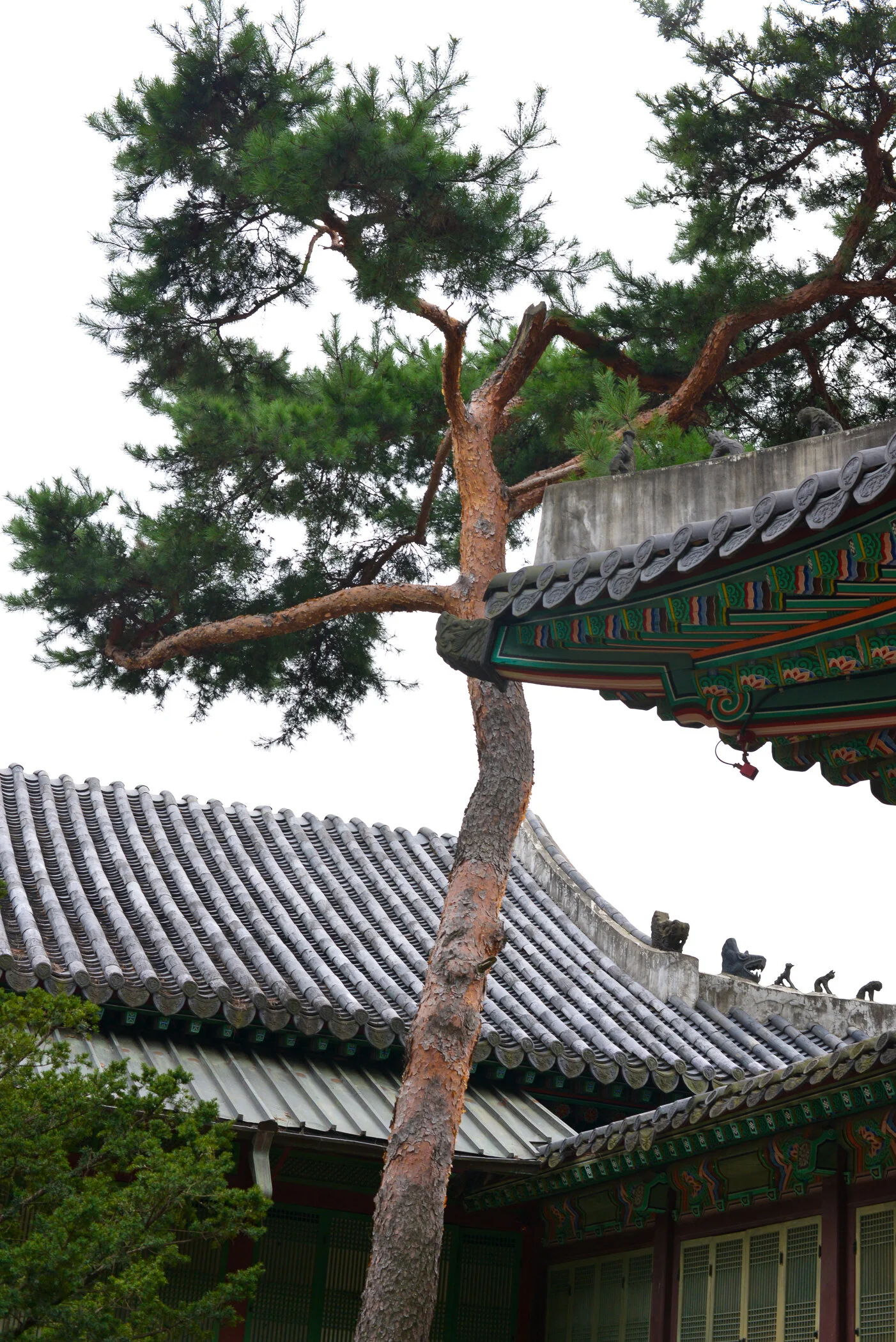 Seoul_2014_©SmitaJacob_blog_036.jpg
