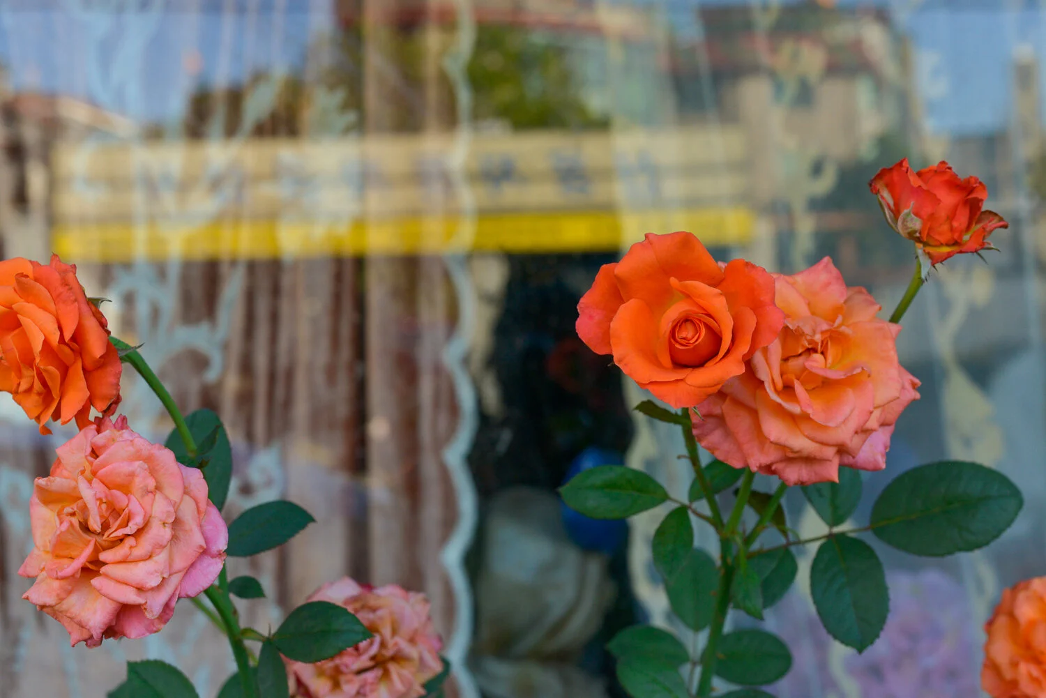 Seoul_2014_©SmitaJacob_blog_049.jpg