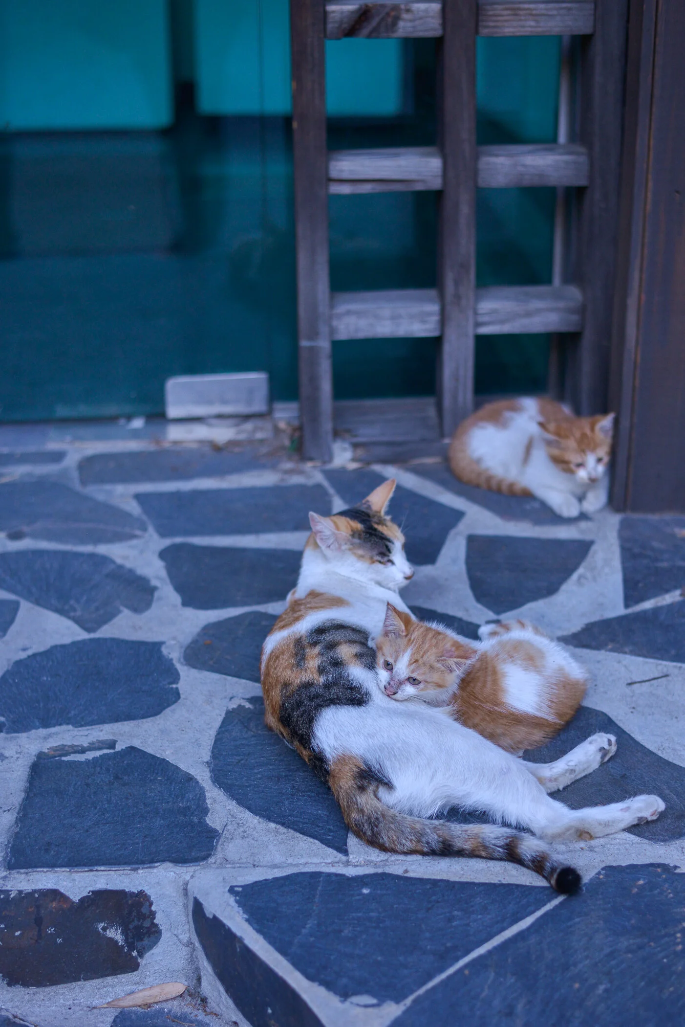 Seoul_2014_©SmitaJacob_blog_090.jpg