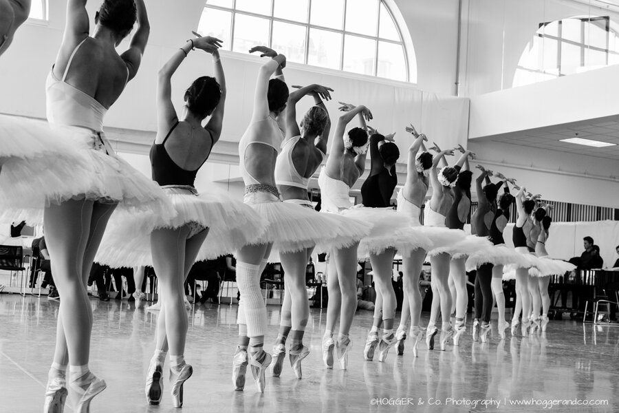 BostonBallet_SwanLake_©HOGGER&Co._2014_041.jpg