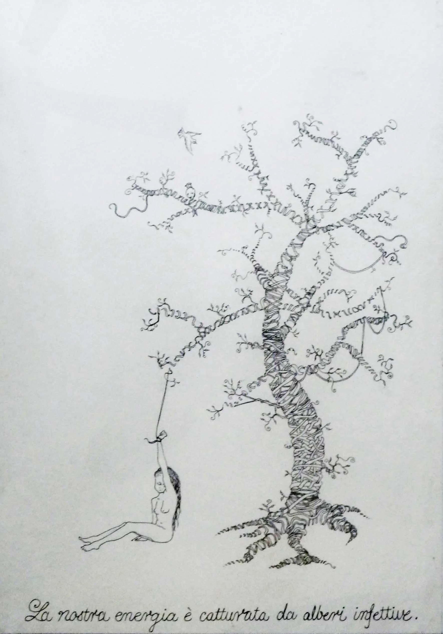 tree.jpg