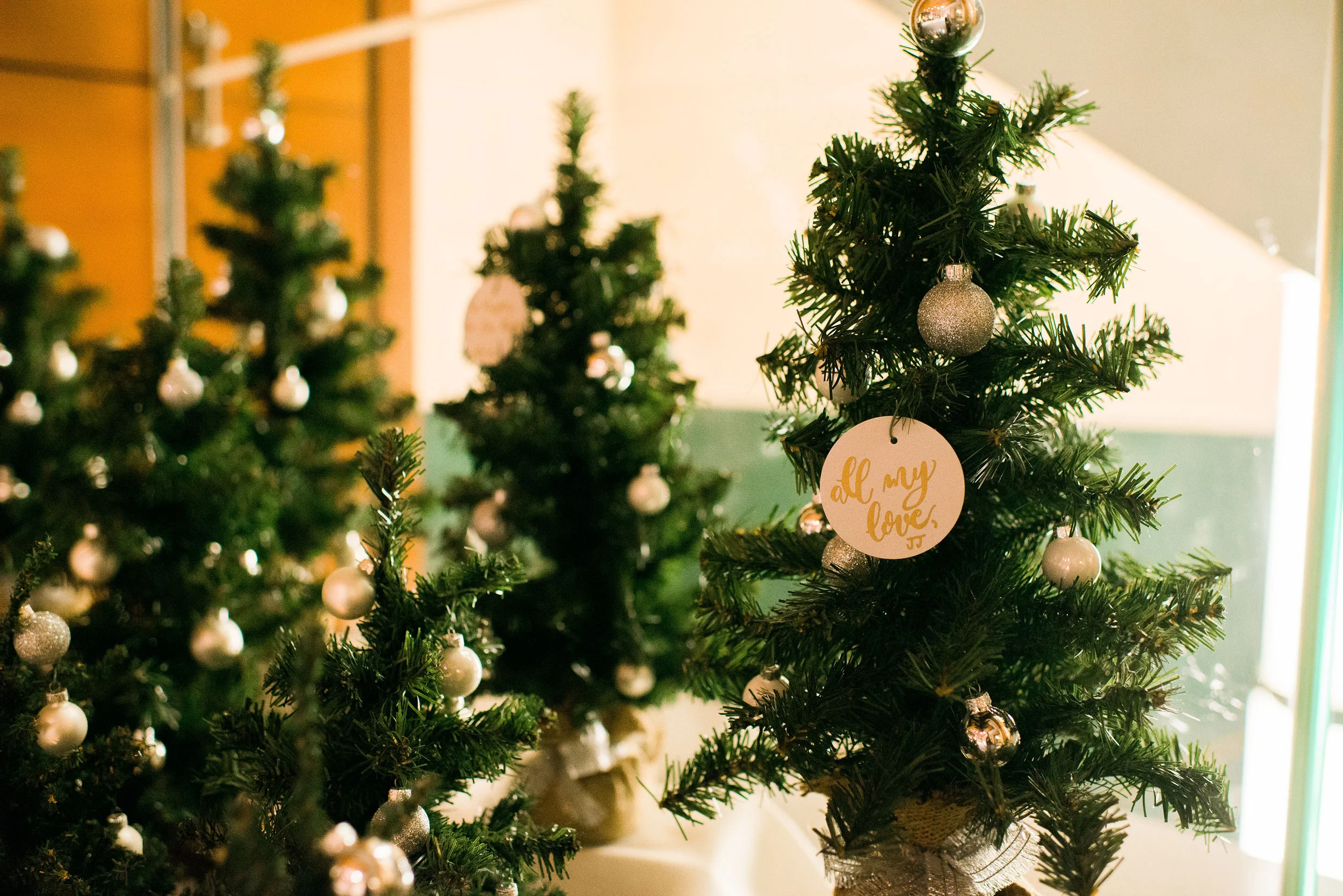 LM-Trim-Tree-2_Ali-Reed-Photo.jpg