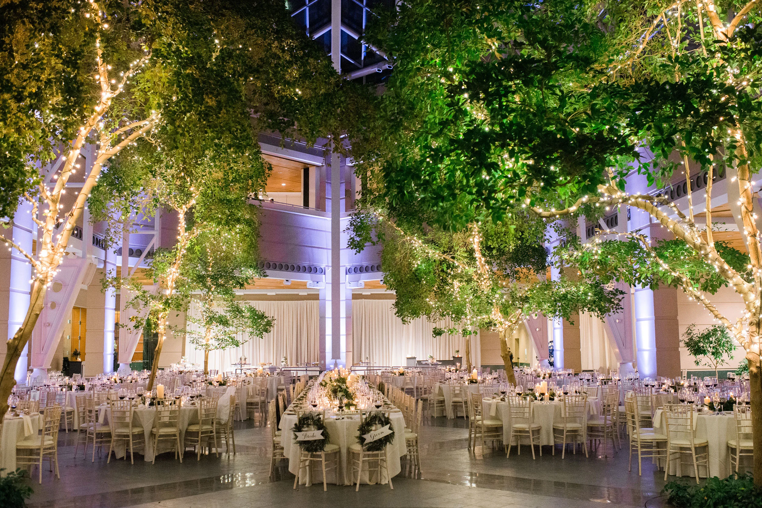 LM-Venue-Ali-Reed-Photo.jpg