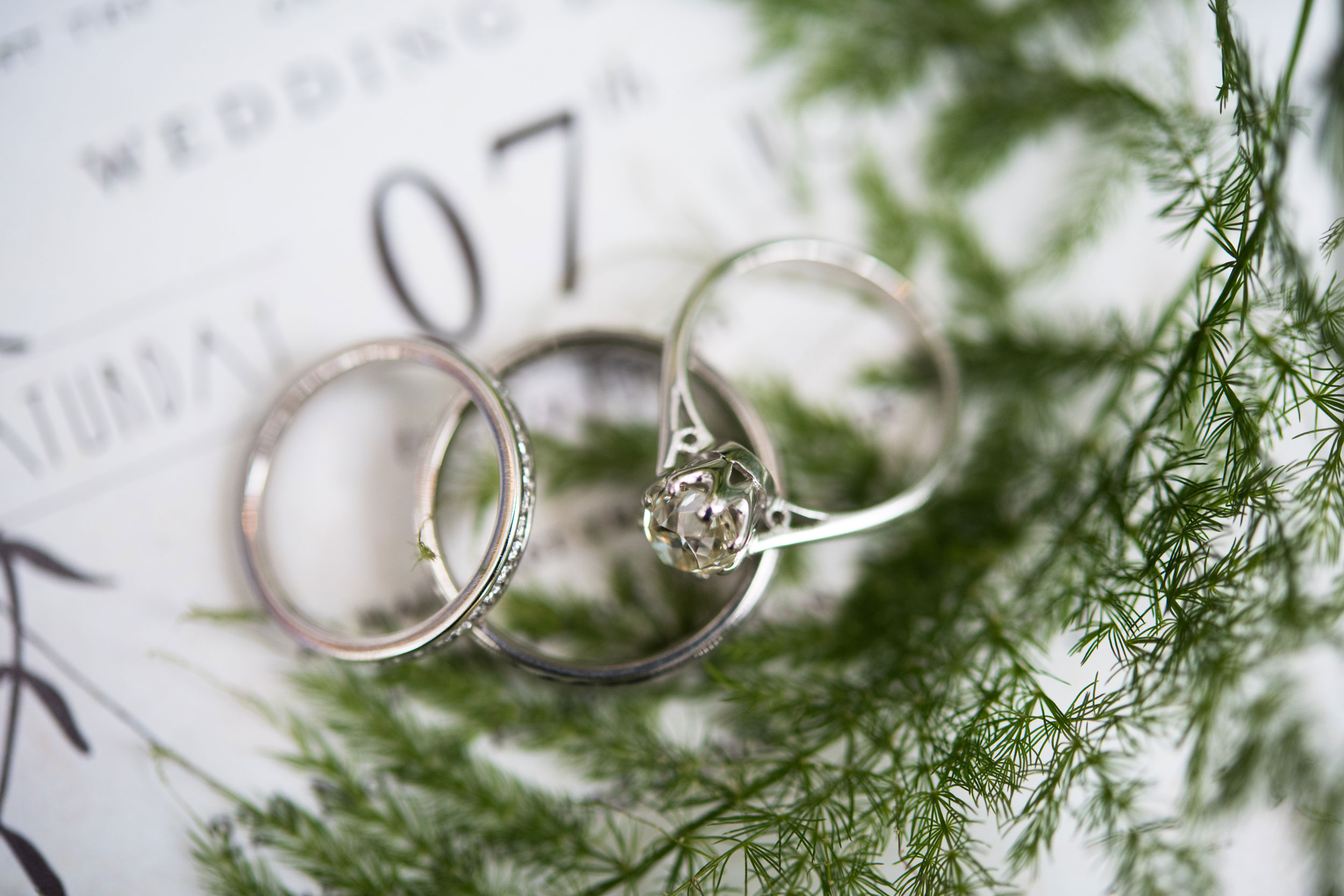 JS-Rings-Kerri-Lynne-Photo.jpg