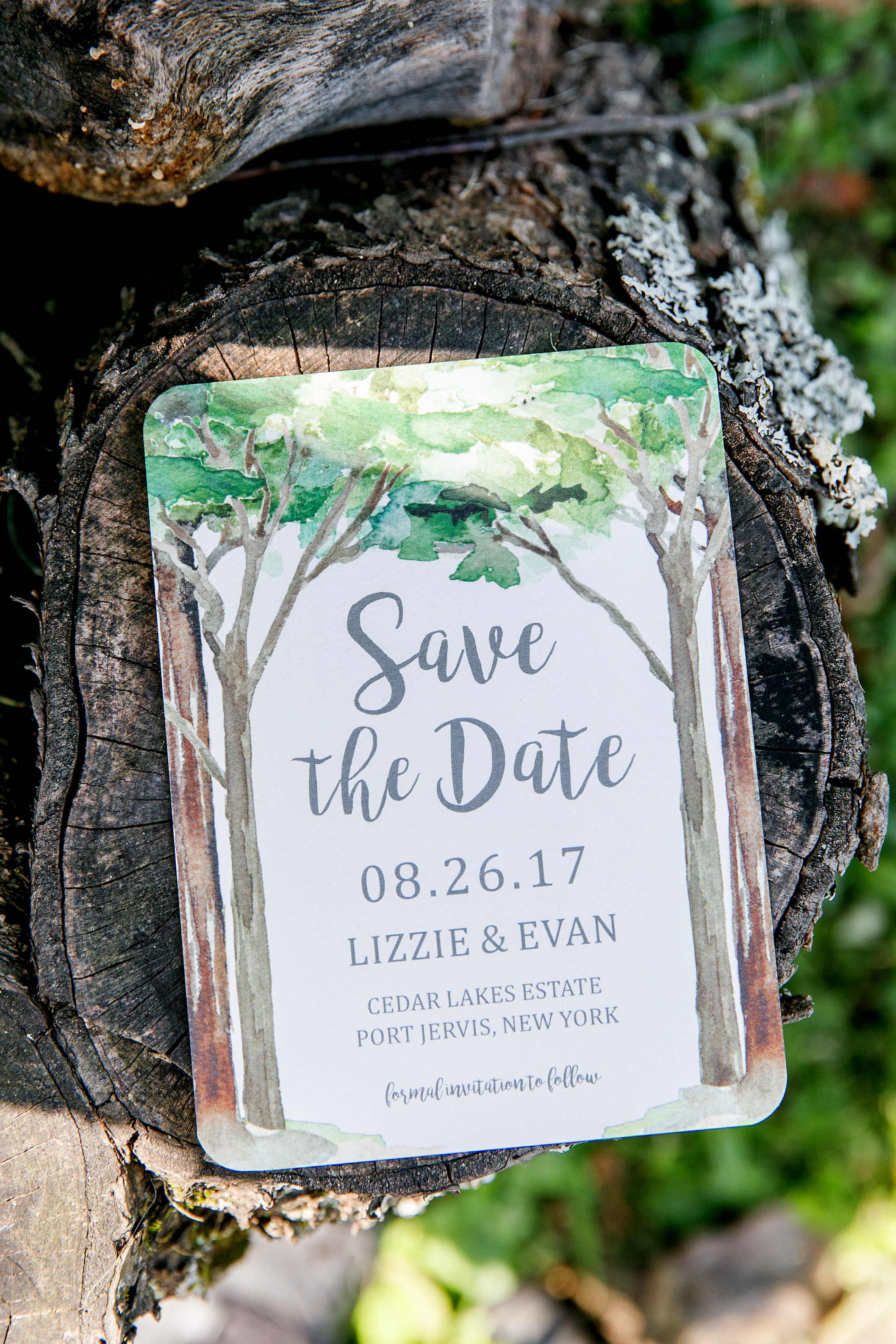   Tory Williams Photography   