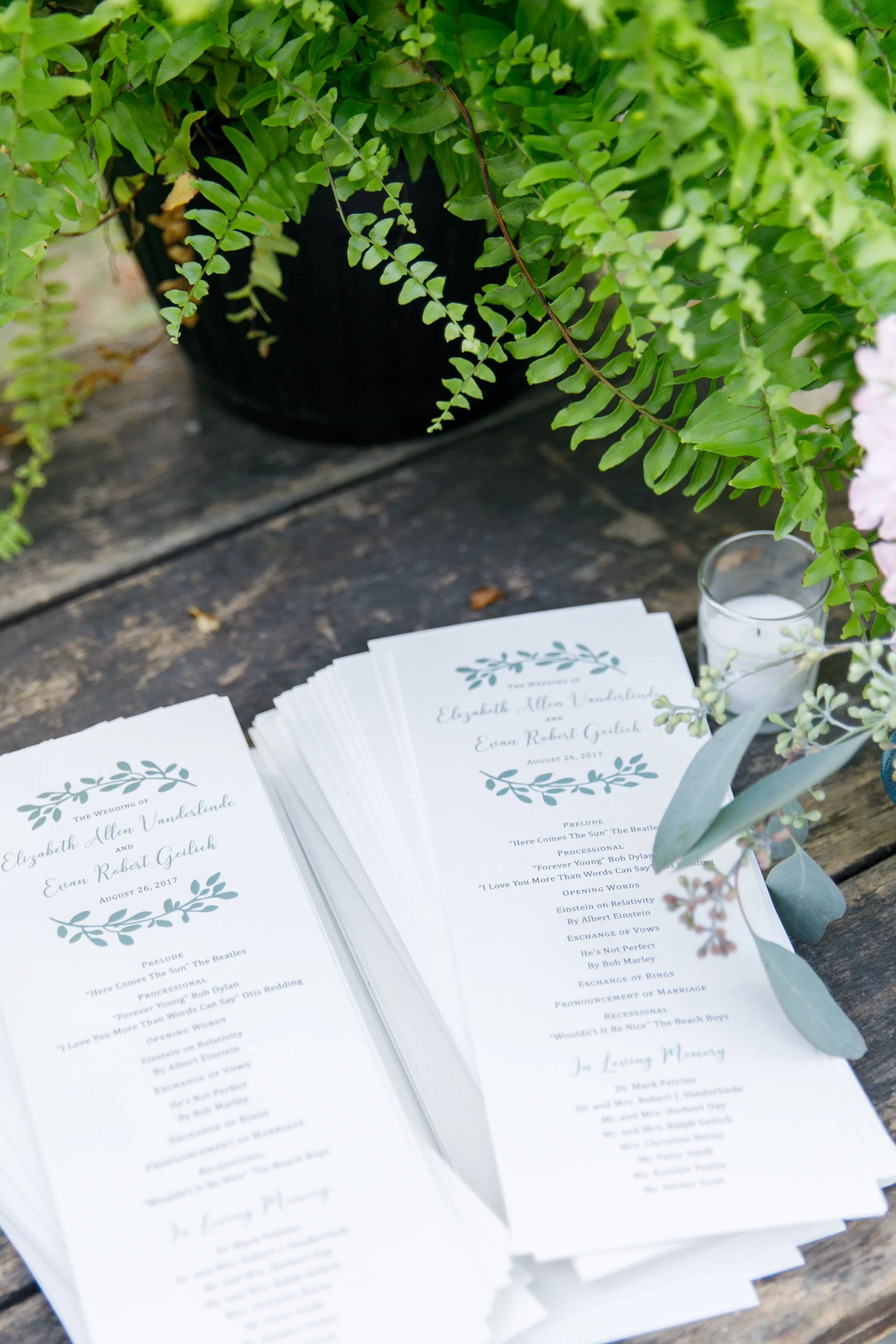   Tory Williams Photography  