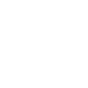 AREA73-Web-Solution
