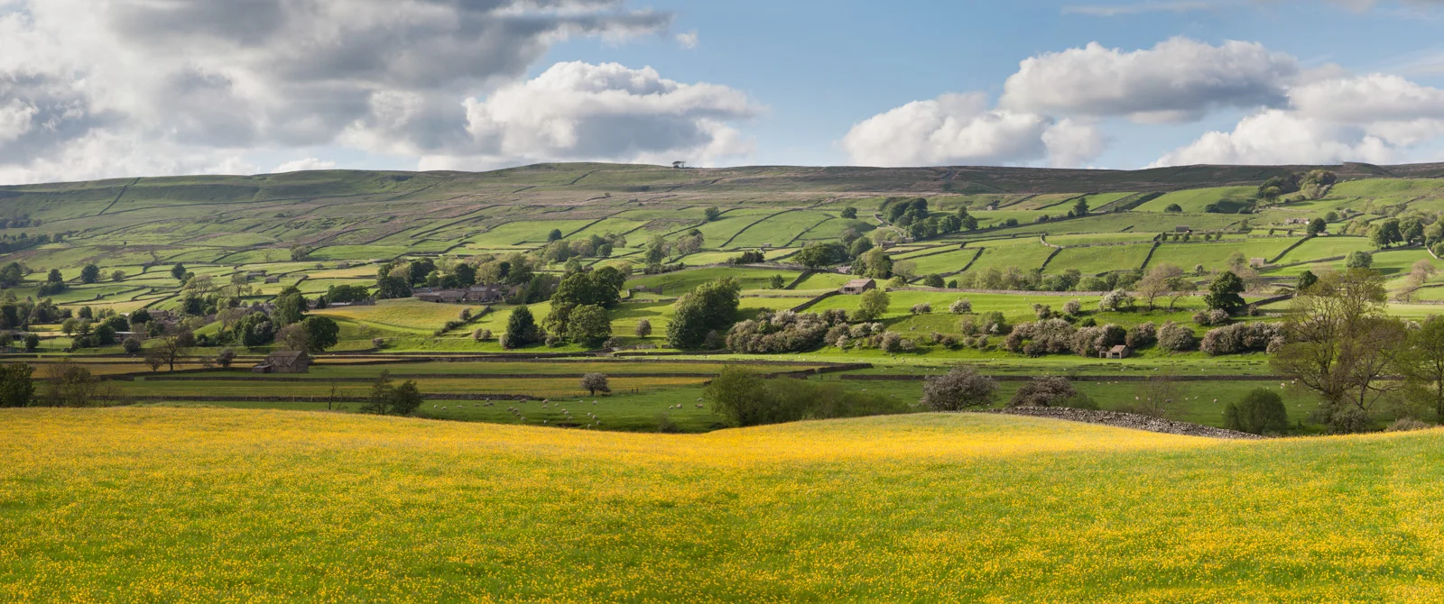 Wensleydale, Yorkshire. England