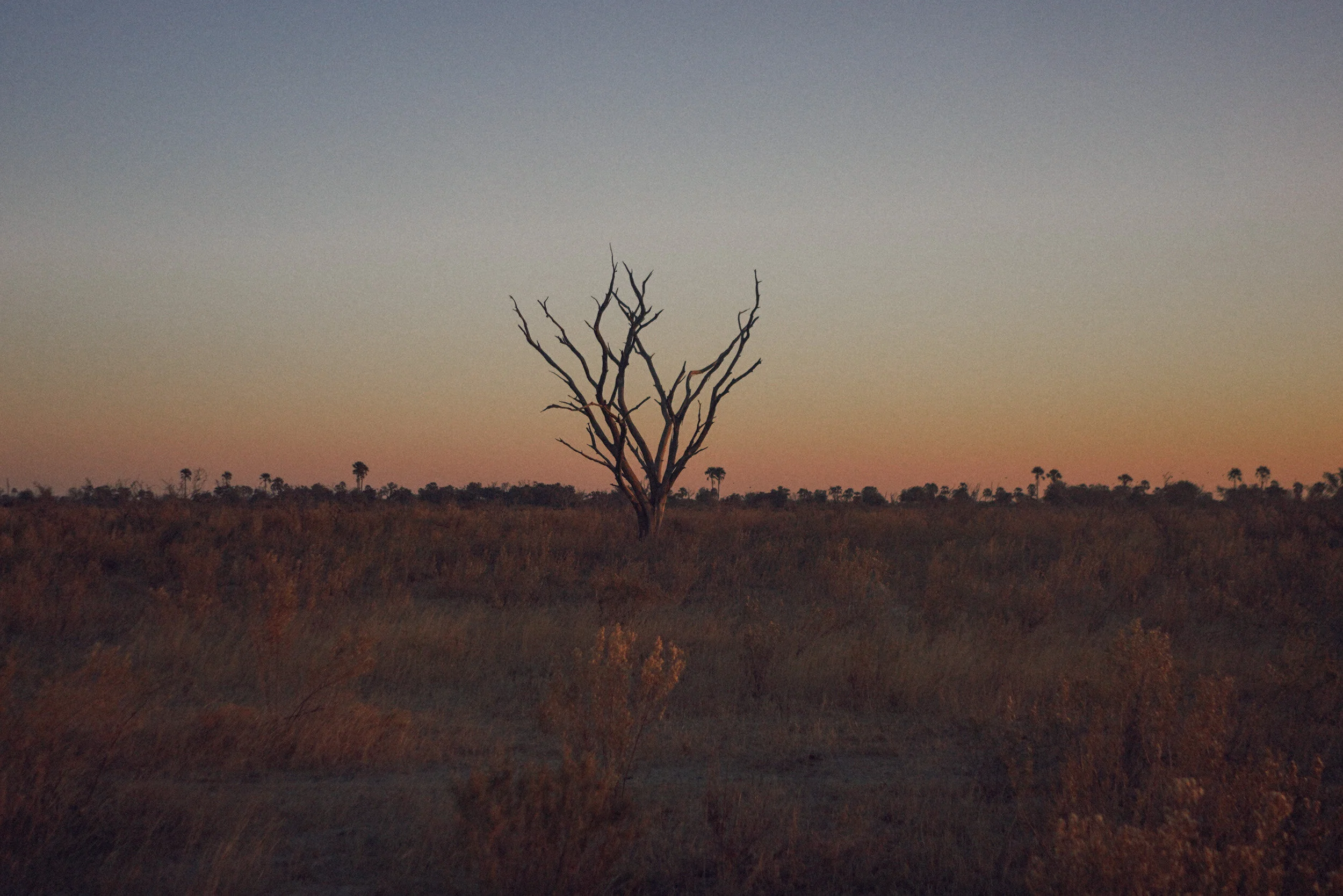 Botswana_Simon_Buxton_-82.jpg