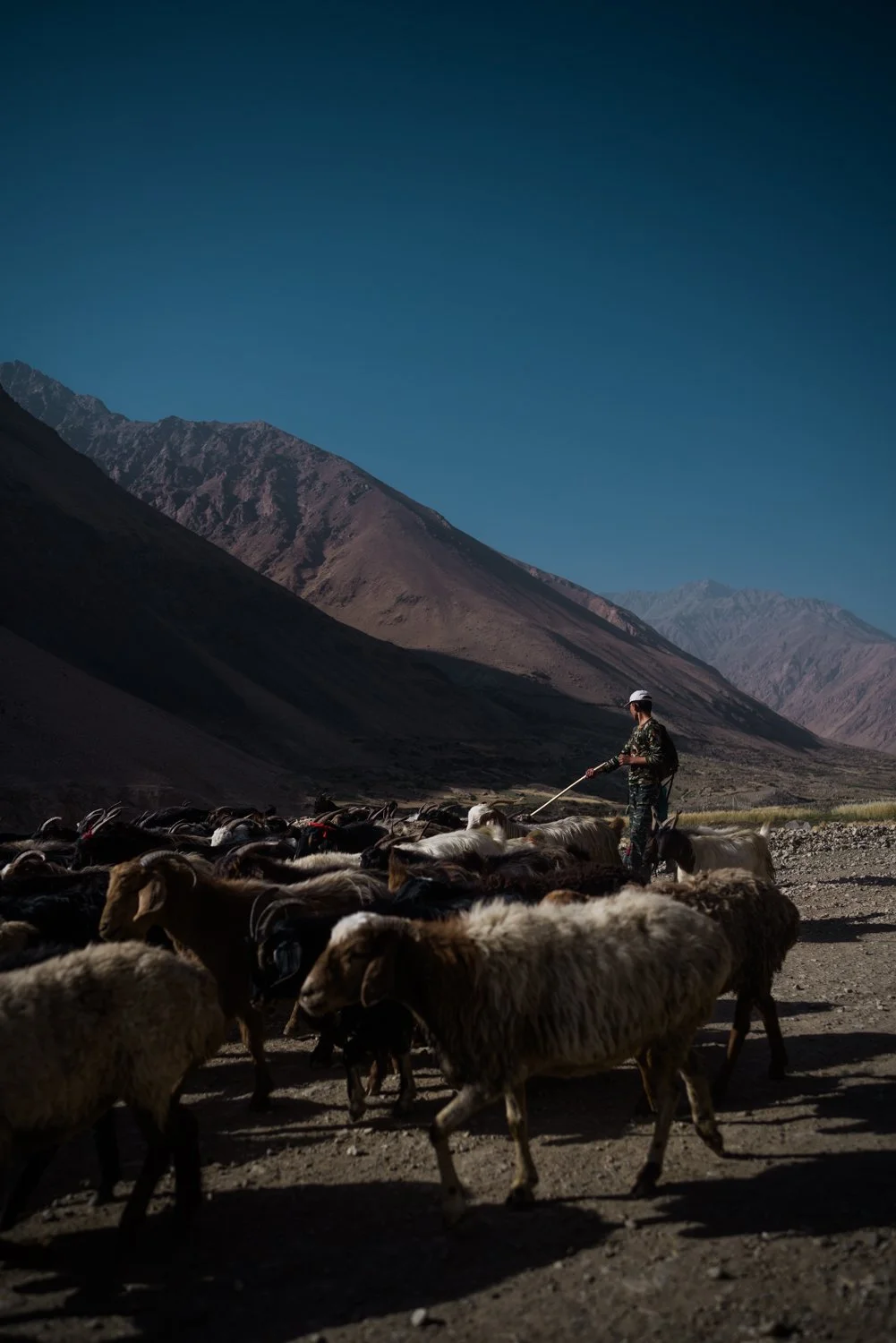Afghan edits low res-275.jpg