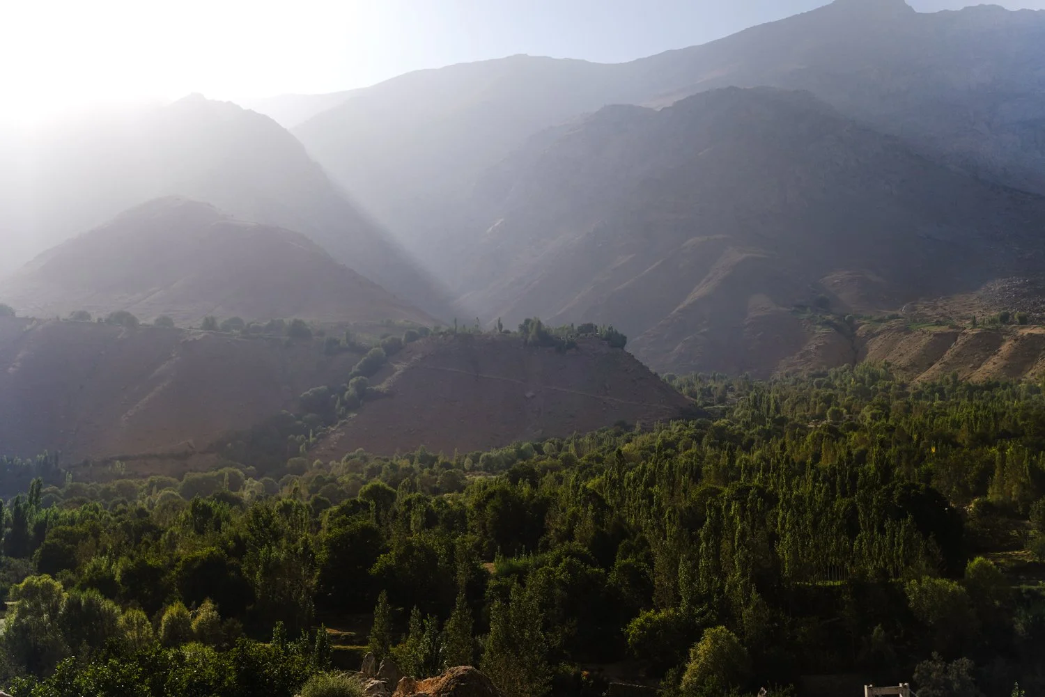 Afghan edits low res-10.jpg