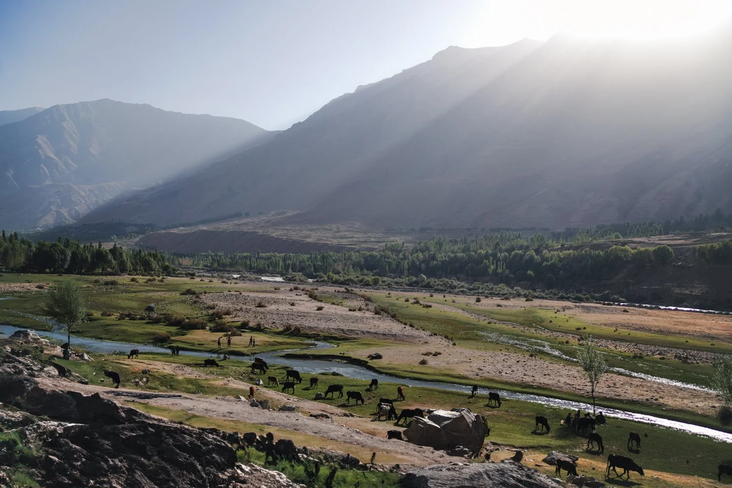 Afghan edits low res-380.jpg