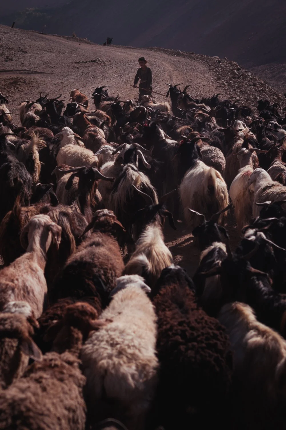 Afghan low res edits.jpg