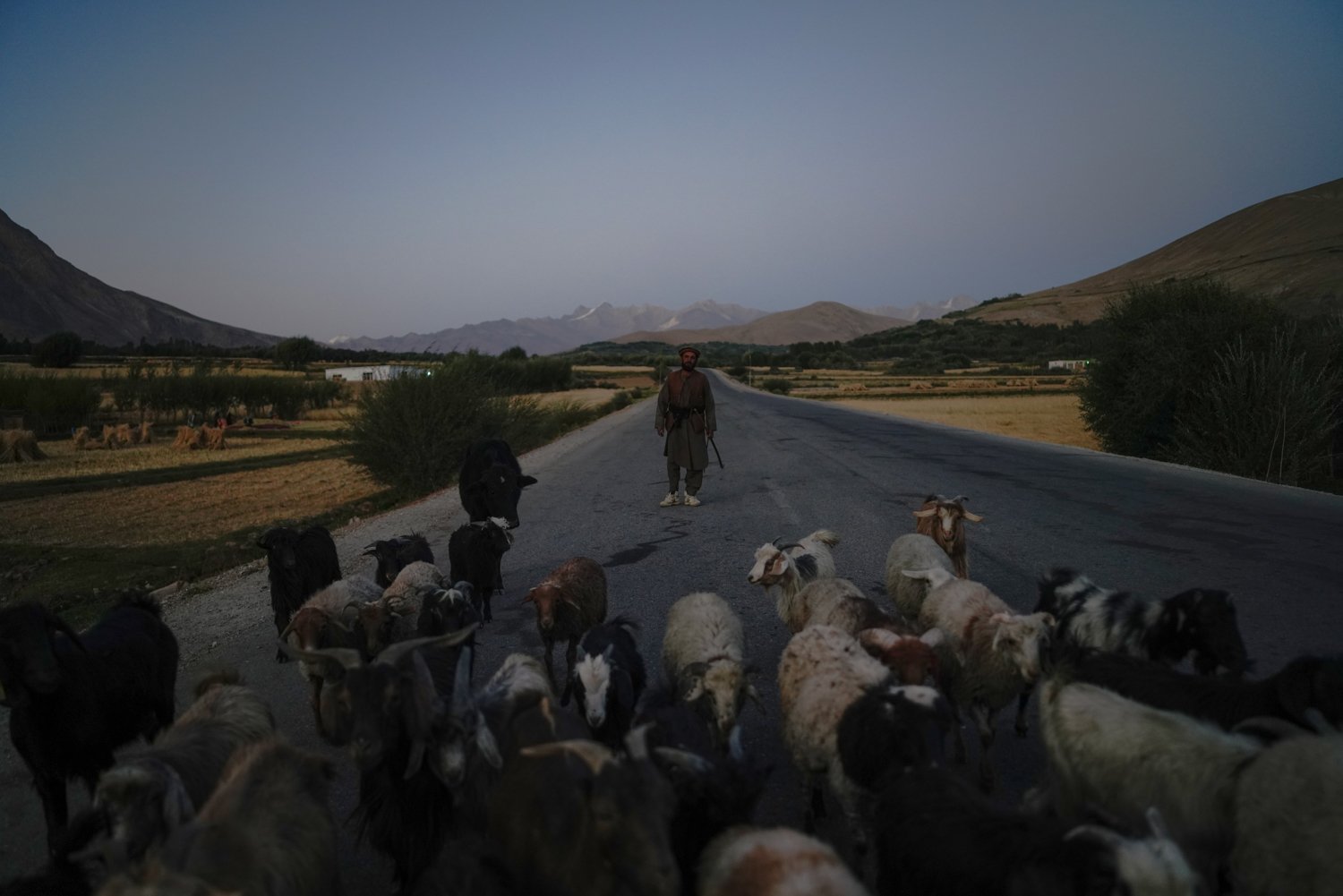 Afghan edits low res-385.jpg