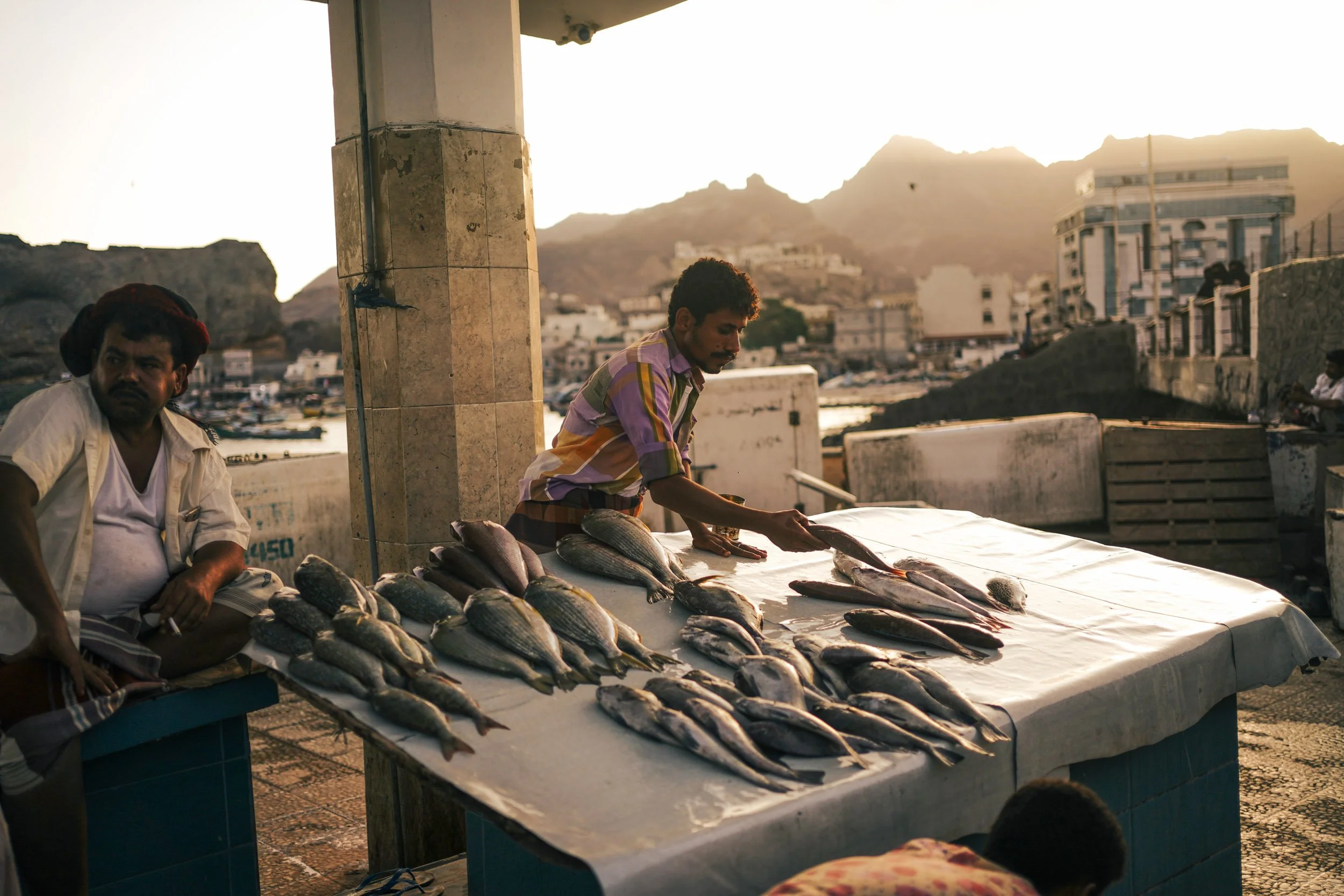 Yemen small-321.jpg