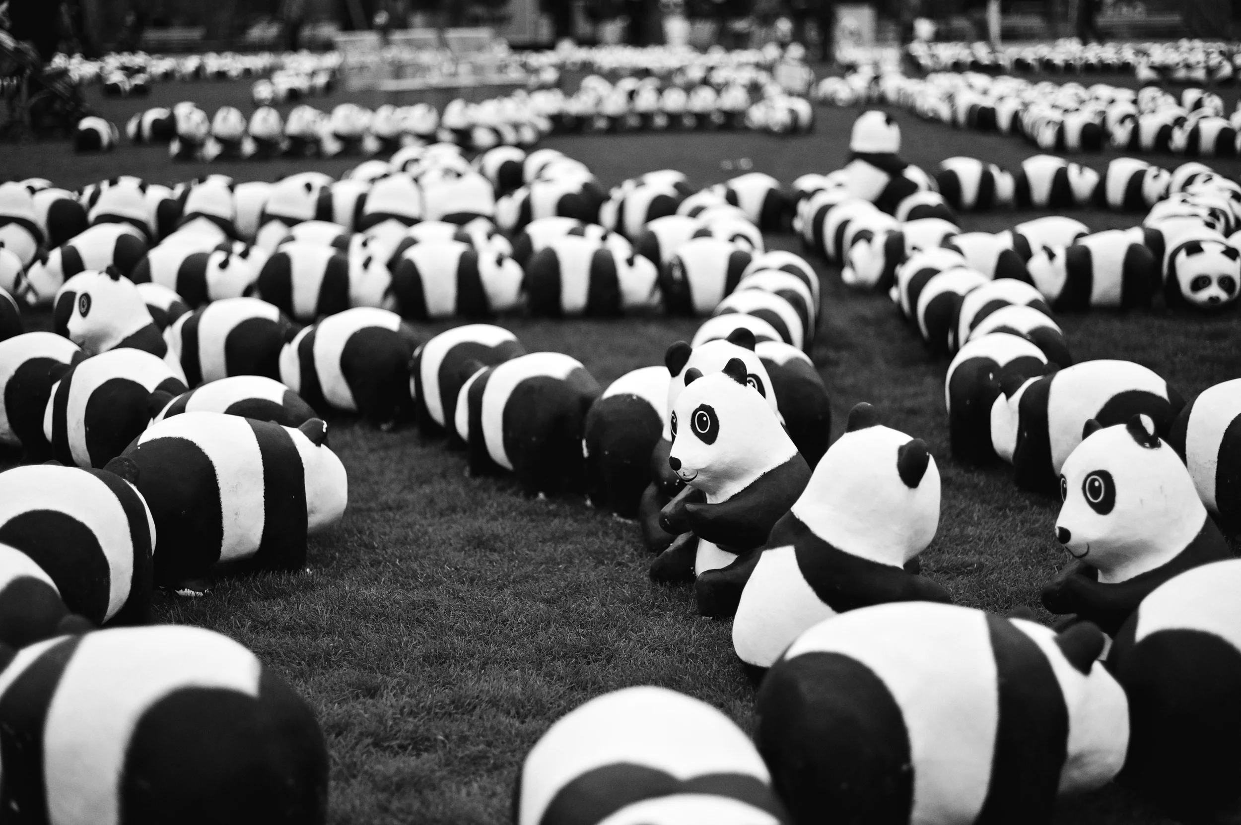 L1002970 - Version 2.jpg