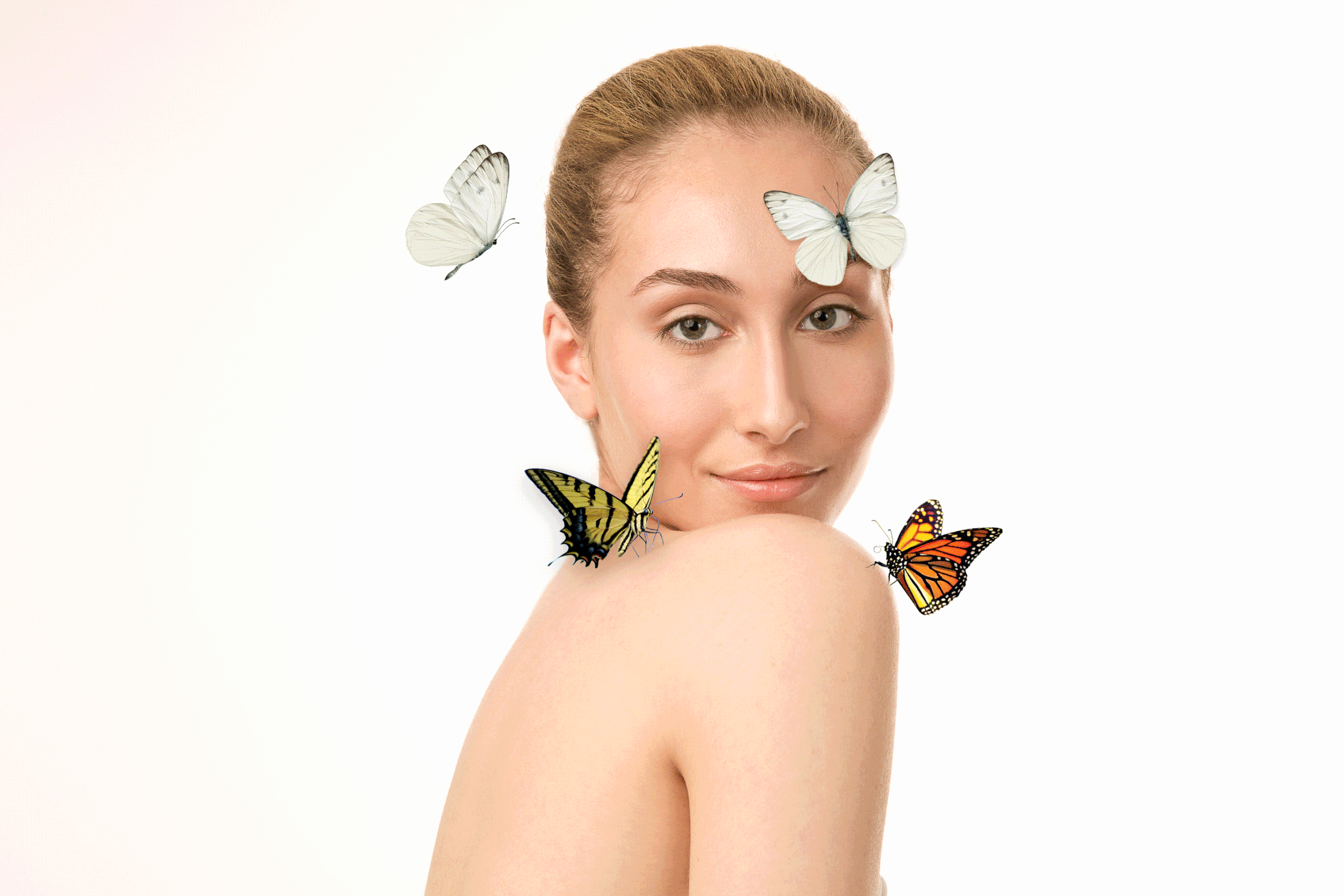 butterfly-photo1-animationv2.gif