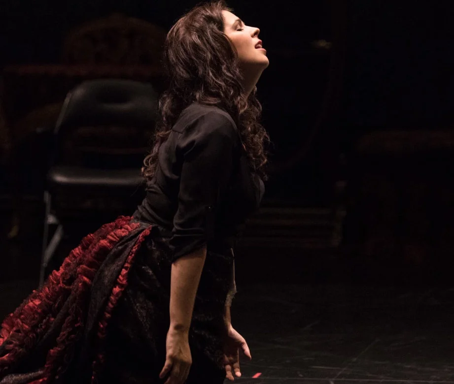 BonnieArbittier_la_traviata_verdi_san_antonio_opera_tobin_center_performance_stage_theater_theatre_9-4-2018-4.jpg