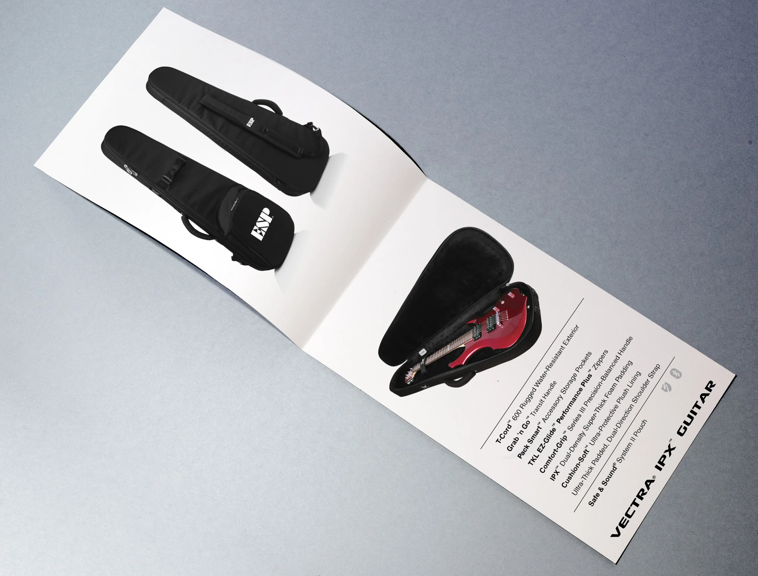 Vectra IPX Guitar-Card-Red.jpg