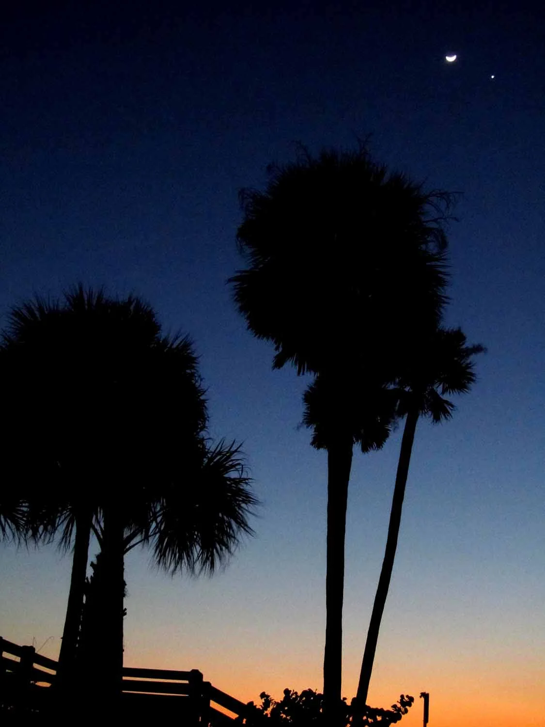 palm_sunset.jpg