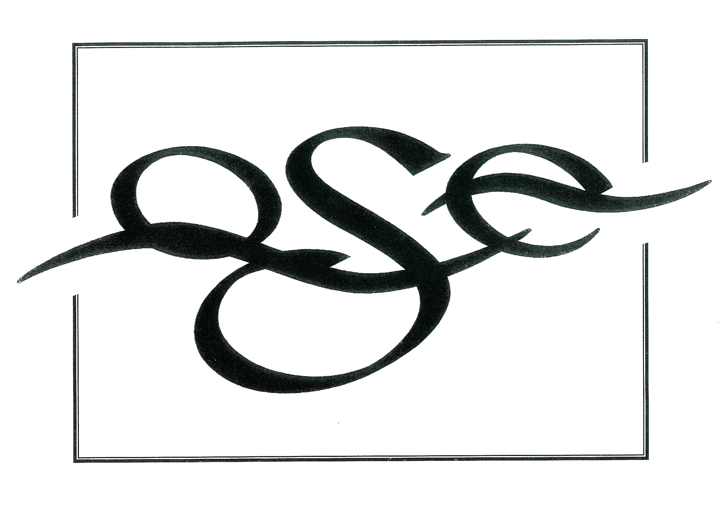<Name of company> logo