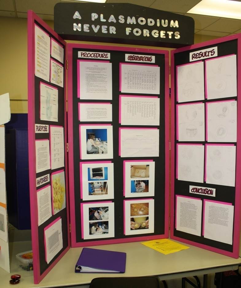 Backboard Design — Bluewater Regional Science and Technology Fair