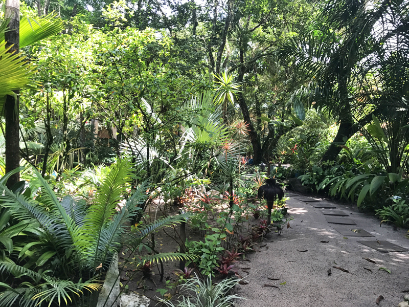 Caminho da recepção até a suíte: muita área verde!