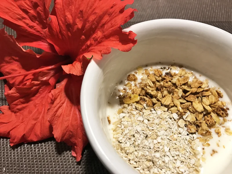 E para finalizar o iogurte caseiro com adição de granola. Delícia!