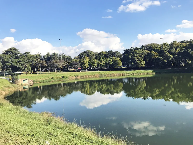 parque-ibirapuera-2.jpg