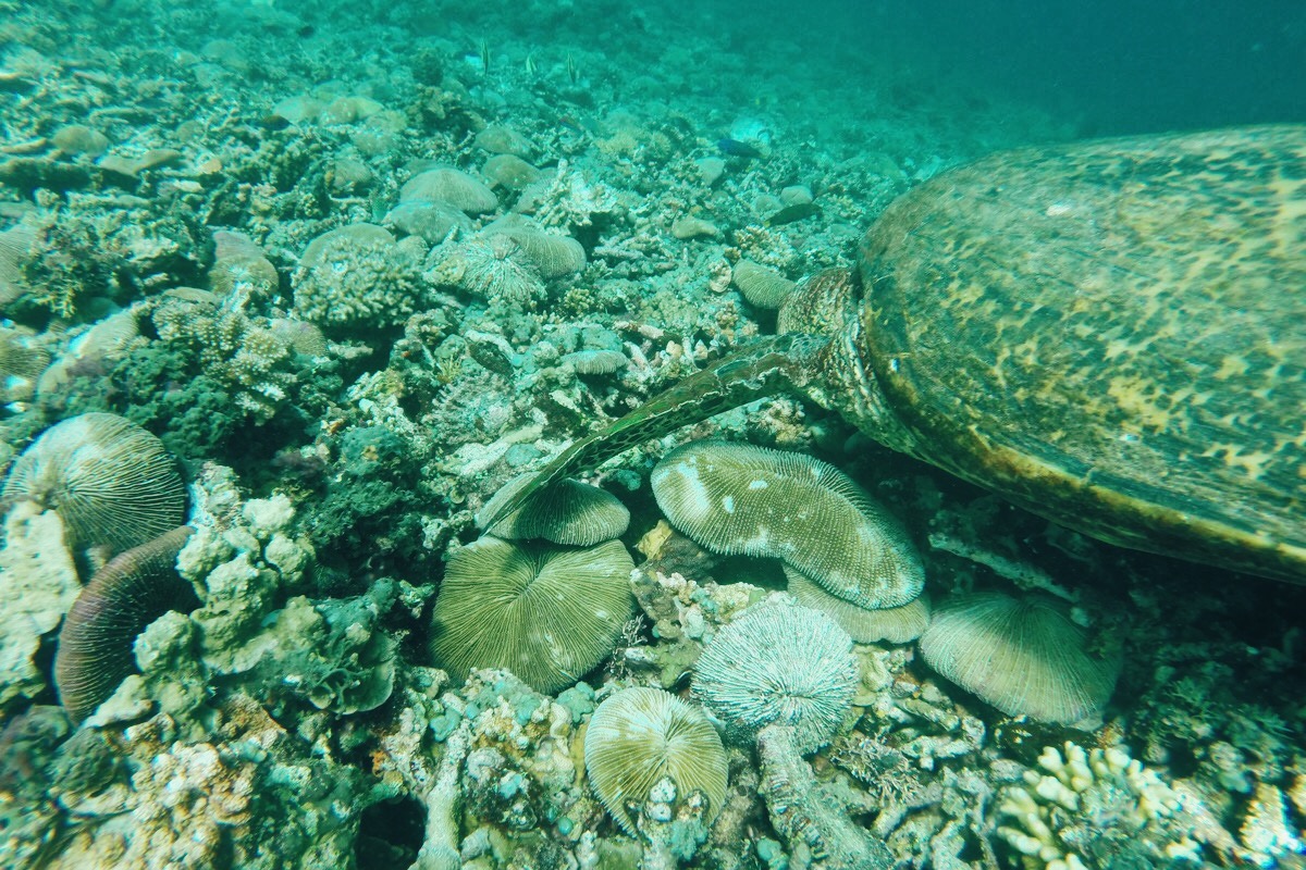 PASSEIO-GILI-ISLANDS-04.jpg