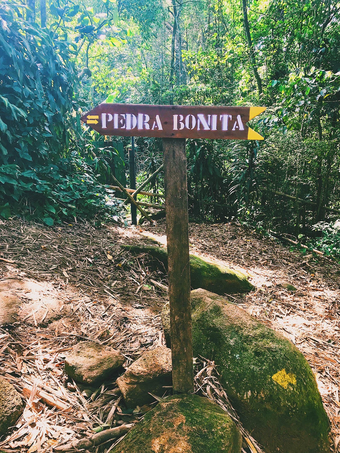 TRILHA-PEDRA-BONITA-RIO-19.jpg