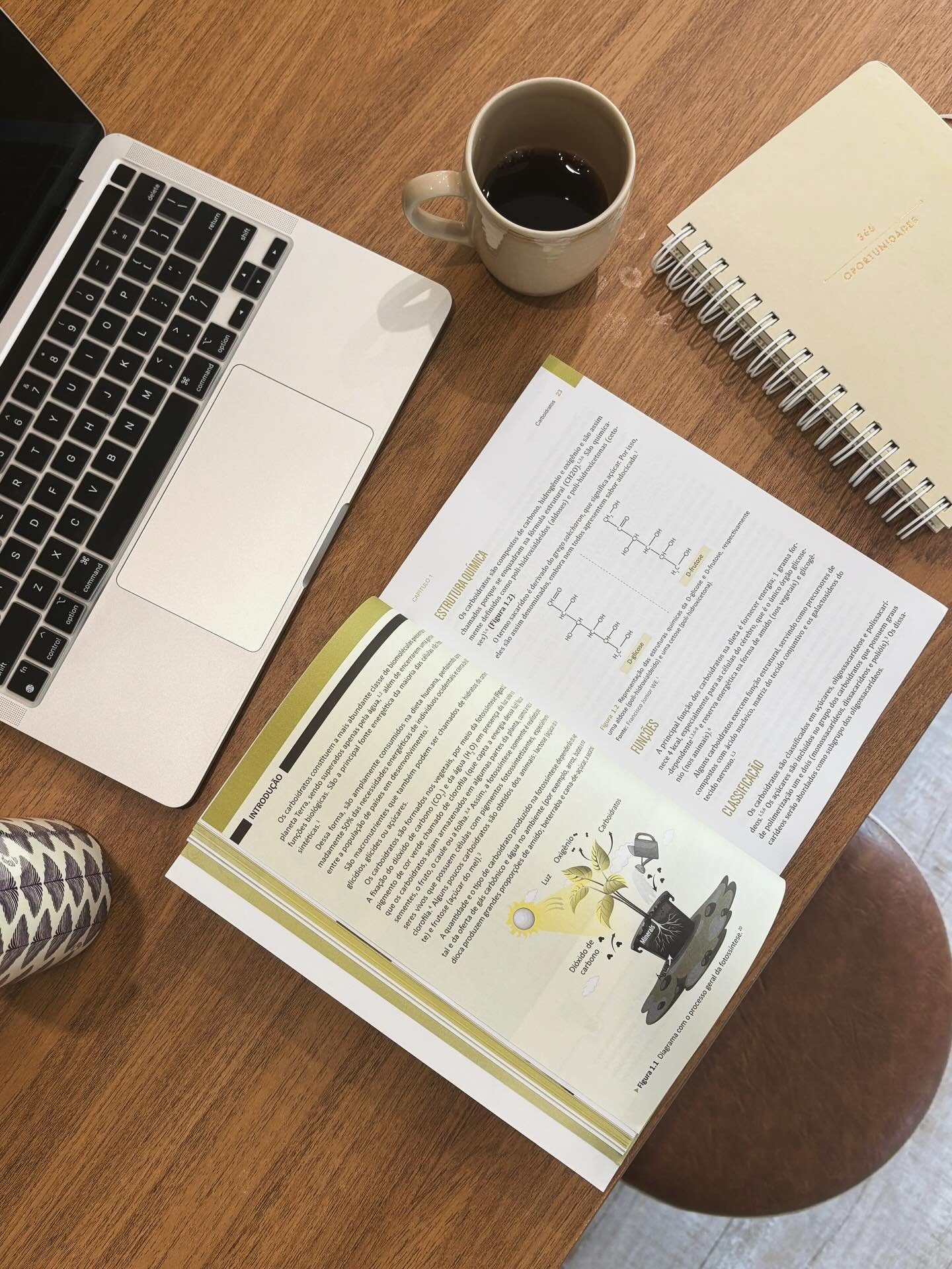 segunda come&ccedil;ando um novo ciclo: estudante de NUTRI&Ccedil;&Atilde;O como segunda gradua&ccedil;&atilde;o 🎓

apesar de ter feito v&aacute;rias forma&ccedil;&otilde;es nessa &aacute;rea desde a pandemia, ainda sentia falta de uma base mais s&o