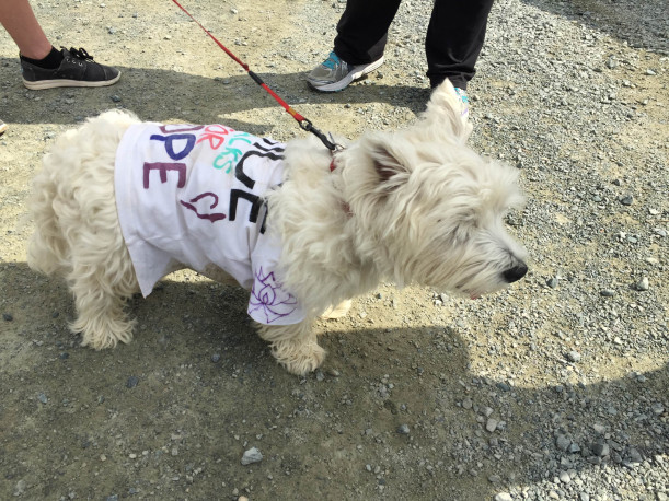 Remembering Renata "Walking Across Canada" in St. John's. NL, where Eating Disorder Foundation of Newfoundland and Labrador kicked off the walk!