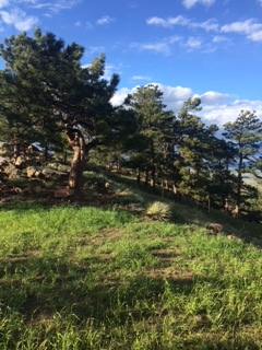 Colorado Mountains, United States