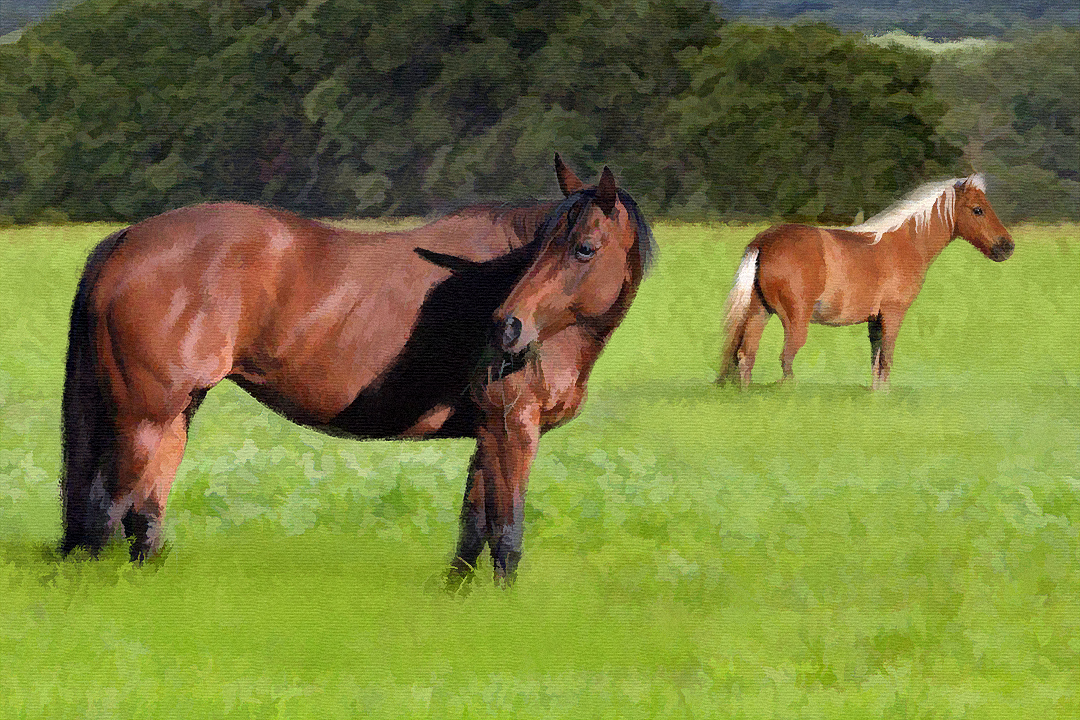 horse painting