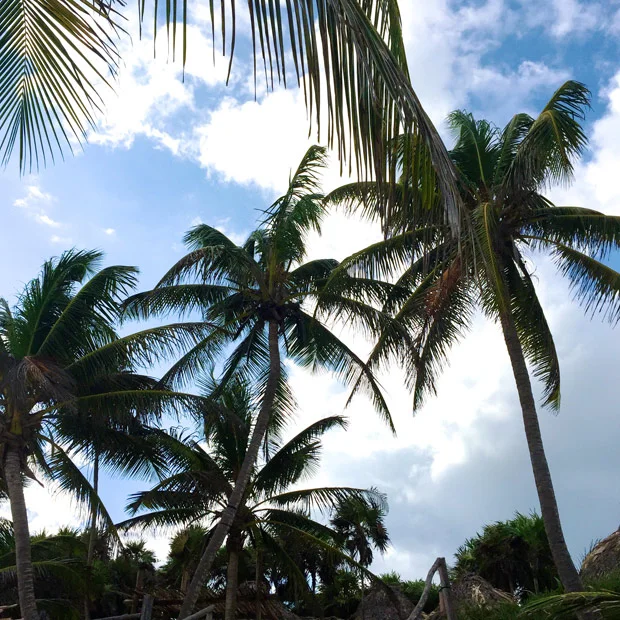 161214_Tulum_Beach_28.jpg
